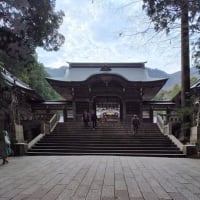 桜紀行　その5　新潟県の〝弥彦公園〟と〝彌彦神社〟