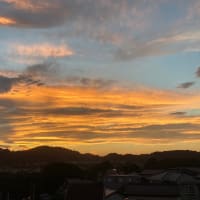 私たちは何もの？