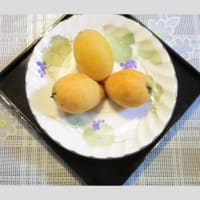 初物