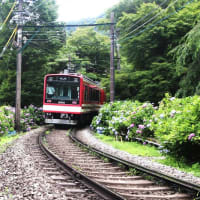 箱根登山鉄道