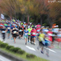 福岡マラソン２０１９