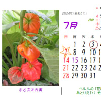2024年7月の花のカレンダー