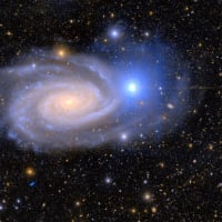 天の川銀河は標準的な銀河なのか？ 衛星銀河の観測で見えてきた、天の川銀河の普遍性と特異性