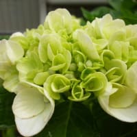 この街は 眠らないもの想う 時間(とき)がない立ちどまって 人生をふり返れない～この街 ～骨まで愛して～林部智史‐沢田研二‐吉田拓郎