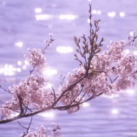 痛覚変調性疼痛：脳の神経回路の変化で起こる第３の痛み
