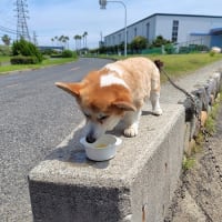 一瞬ビビった・・・
