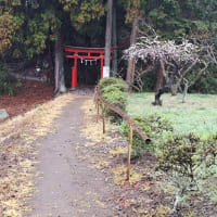 近所の厳島神社、分社