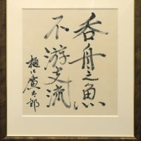 『呑舟之魚不游支流』(190611)
