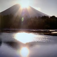 8703の独白（七月を迎えて）