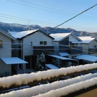 今年一番の、雪