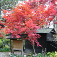 思い出写真館 ２・東北の旅