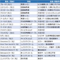 今週は勝ち上がり組の昇級戦二鞍！