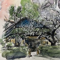 水彩画「牛尾神社と梅」スケッチ うめ 梅の花 絵画 アート-