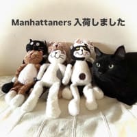 久し振りの墓参り