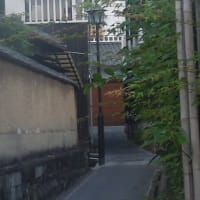 夕方ウォーキングで暑熱順化～♪