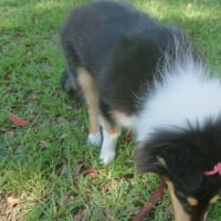 はじめての公園