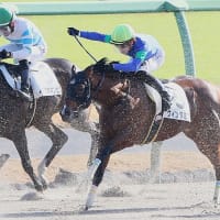 ウィンダミア、帰厩‼️