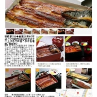 散策(食事編584)　｢東京中心南－756｣　　神田きくかわ 第一ホテル東京店