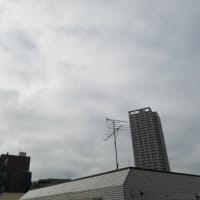 転居先について