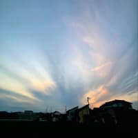 ６月13日金曜日。。。