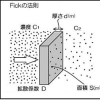 両生類の呼吸ーその４