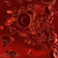 ファイザー社のワクチンが血栓を引き起こす致命的な血液疾患との関連が判明!!