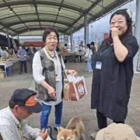 №１５７譲渡会の報告