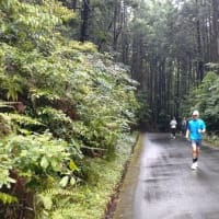 獅子ヶ岳練習会2025.5.25