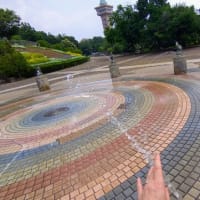 久しぶりの相模原公園