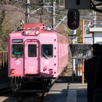 2025/1/25-26　大阪・和歌山旅行　その５「多奈川線と加太線」