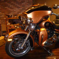 Harley-Davidson フューエルタンク・エンブレム - スタッフ