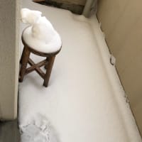 2度目の正月？^_^