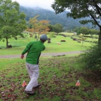 第25回福島オープンディスクゴルフ大会結果