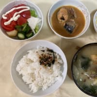 ６．２０　さば味噌煮