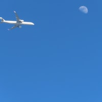 月と飛行機　La lune et l’avion.
