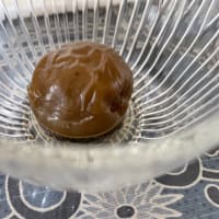 梅の再生とアメシロ発生とワンニャン日和