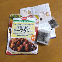 甘口カレーに黒七味