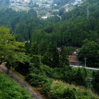 ハート型の集落と棚田（徳島県と宮崎県）