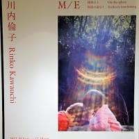 「M/E 川内倫子」／東京オペラシティ アートギャラリー
