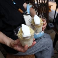 谷中銀座、和栗や でモンブランのソフトクリームを食べました。