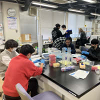 チップ詰め詰め作業