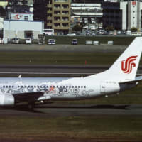中国国際航空 Boeing737-800 特別塗装機「白牡丹」