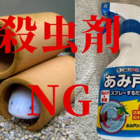 殺虫剤は水槽にNG