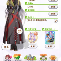 ドリームジャーニー 全冠