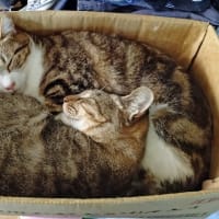 GWもあと少し