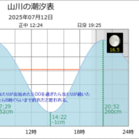 鯵釣り