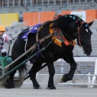 行ってみたい１０の場所