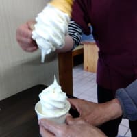5/9（土）・10（日）伊達市梁川町のフクロウ