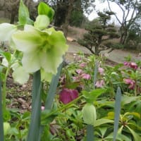 耳納連山の足元にワイン蔵