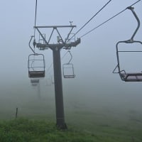 霧の湯の丸高原